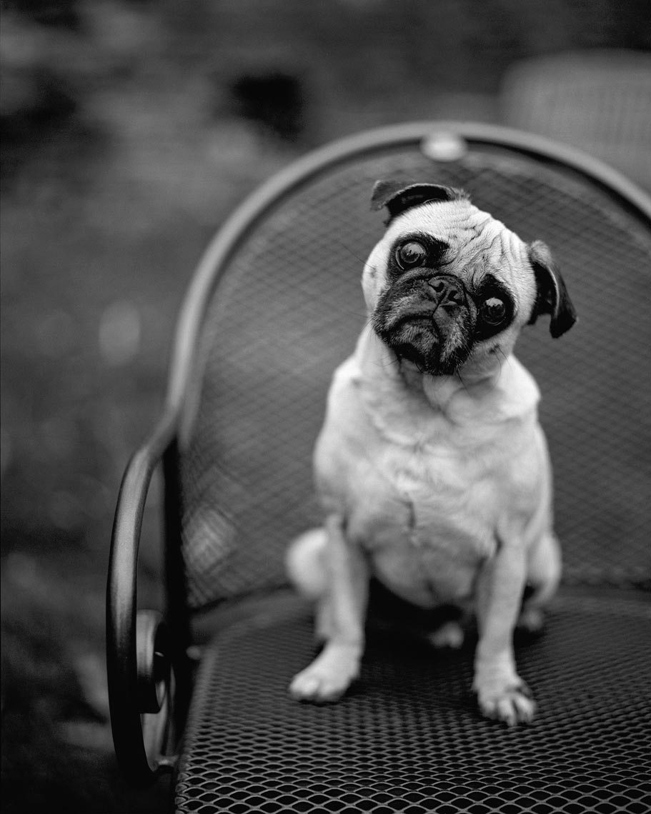 Animals_06_Mark_Luinenburg_140130