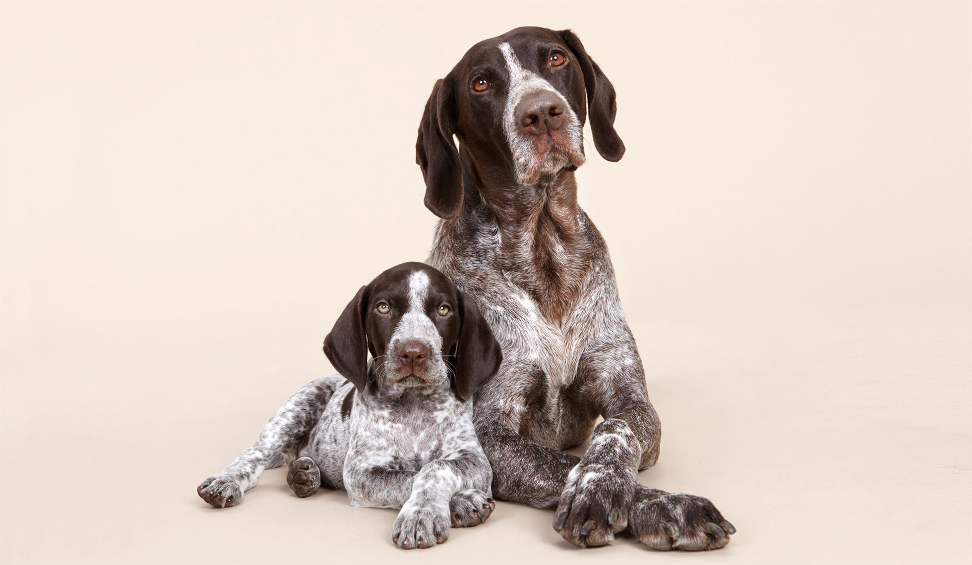 Animals_079_Shaina_Fishman_201120